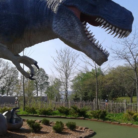 Nicole Shaw paints a three times larger than life-size T-Rex dinosaur in a mini putt in Niagara Falls Ontario Canada